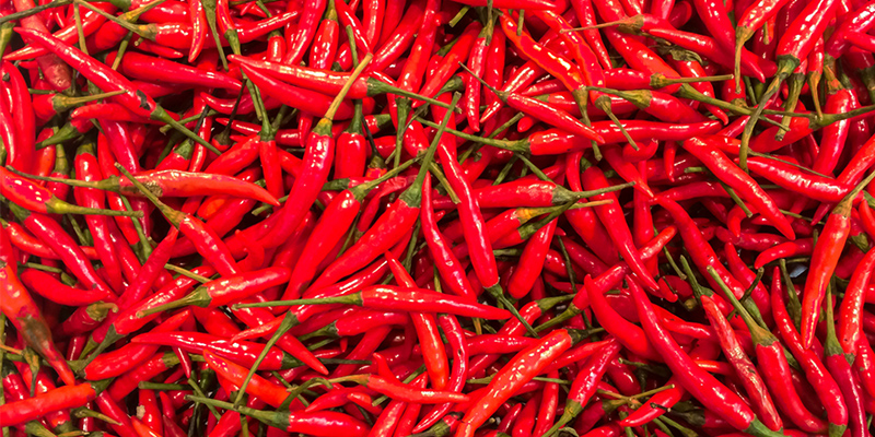 Chilli consumption has been found to be beneficial for body weight and blood pressure in previous studies but researchers have also found adverse effects on cognition among older adults.