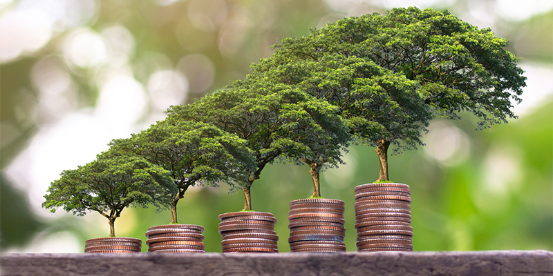 Trees growing out of coin piles