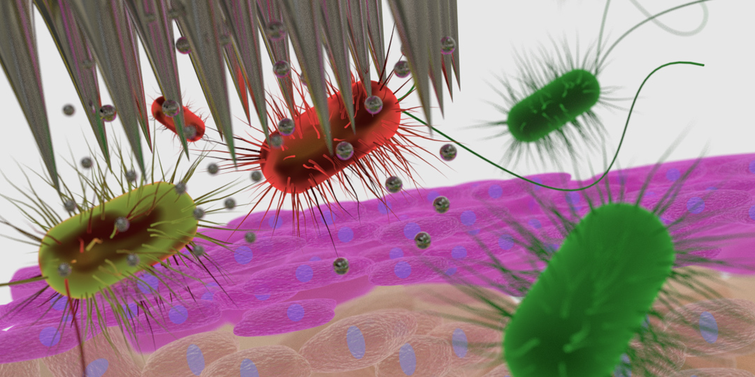 A representation of a microneedle chip incorporating silver nanoparticles killing bacteria (in red)