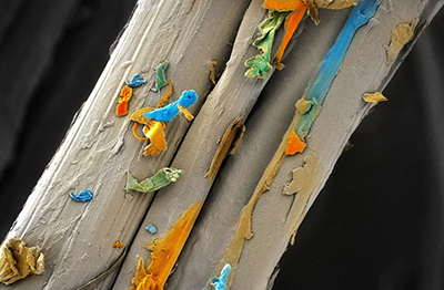 An image of a single cotton fibre with the natural wax impurities on the fibre wall, by Azadeh Nilghaz from the Future Industries Institute, won the People’s Choice Award in the 2019 Images of Research competition.