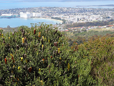 Port Lincoln South Australia