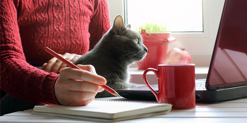 Woman working from home with cat on her lap