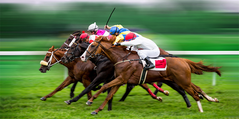 Horse-racing