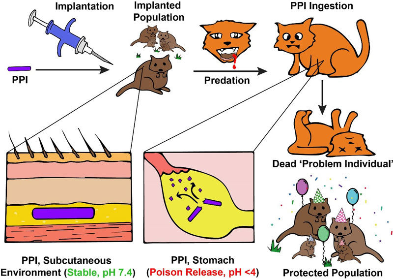 An illustration of the Population Protecting Implants (PPIs) concept.