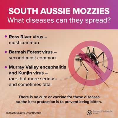 Mosquito advice from SA Health.