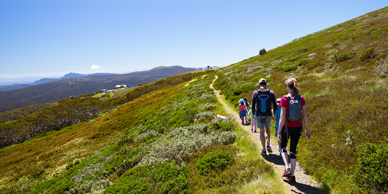 People hiking