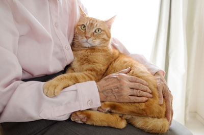 Aged care resident with her pet cat