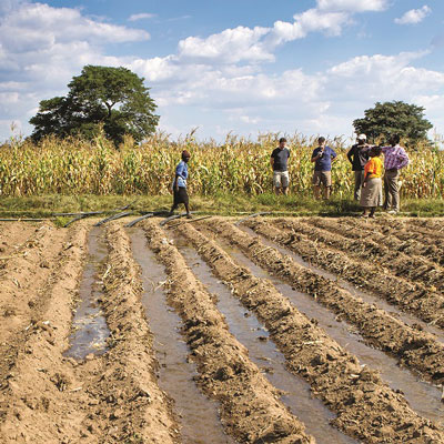 Irrigation in a newly cultivated field in Zimbabwe. Photo by André F. van Rooyen.  
