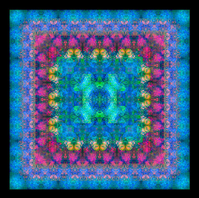 Magic carpet ride by 2021 finalist Dr Ian Johnson. Dr Johnson’s image is of prostate cancer organoid, cultured to assist with the development of patient specific cancer treatments.