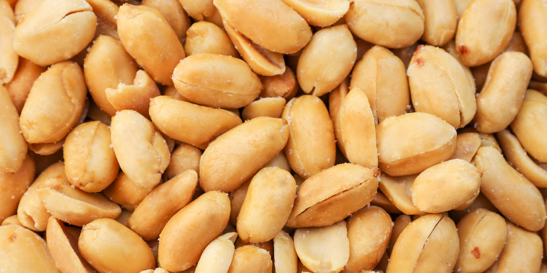 Peanuts present a nutty solution for weight loss