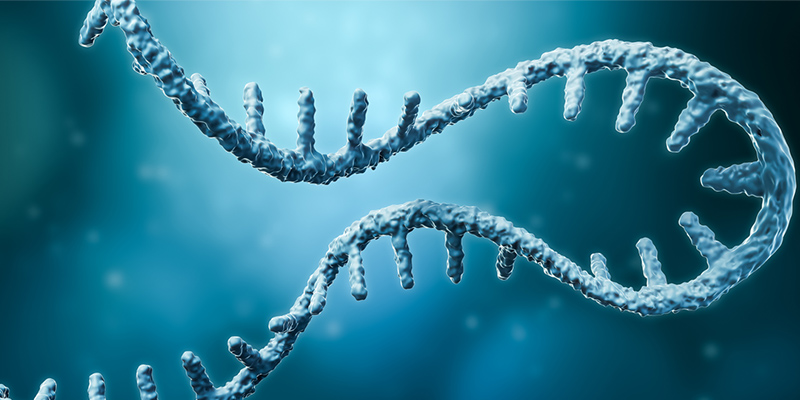 Circular RNA